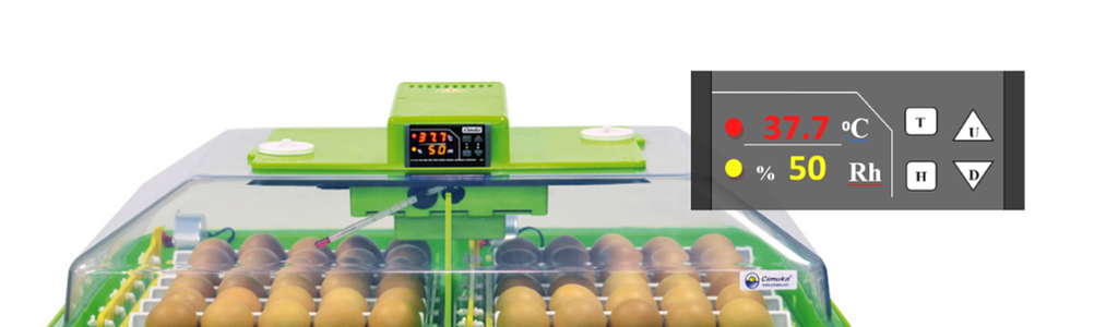 Liahen na vejce cimuka pd